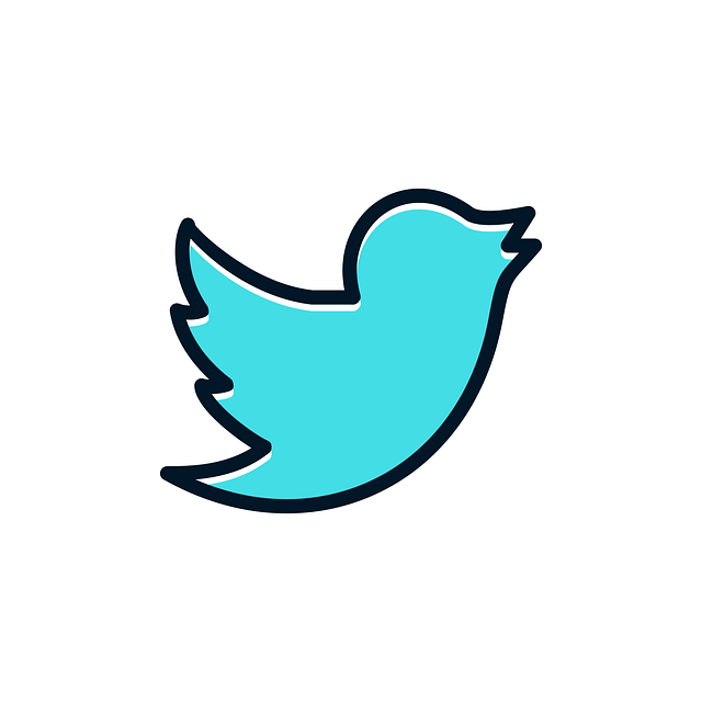 Read more about the article Ramaikan Thread Kamu Dengan Jasa Buzzer Twitter Reply Kami!